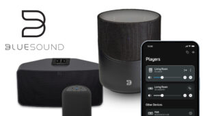 Bluesound System